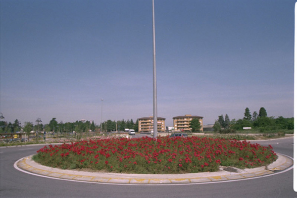 lavori cityflor 039